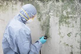 Best Airborne Mold Testing in USA